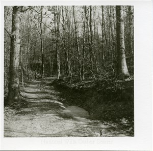 Image description is not available for PHO-4-W689-375a